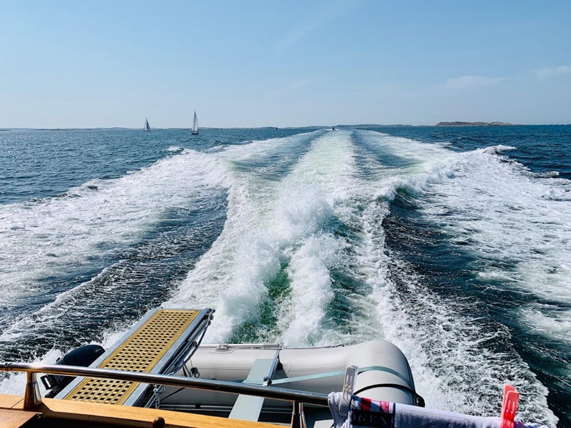 stockholm watertaxi sea life - 12 gäster