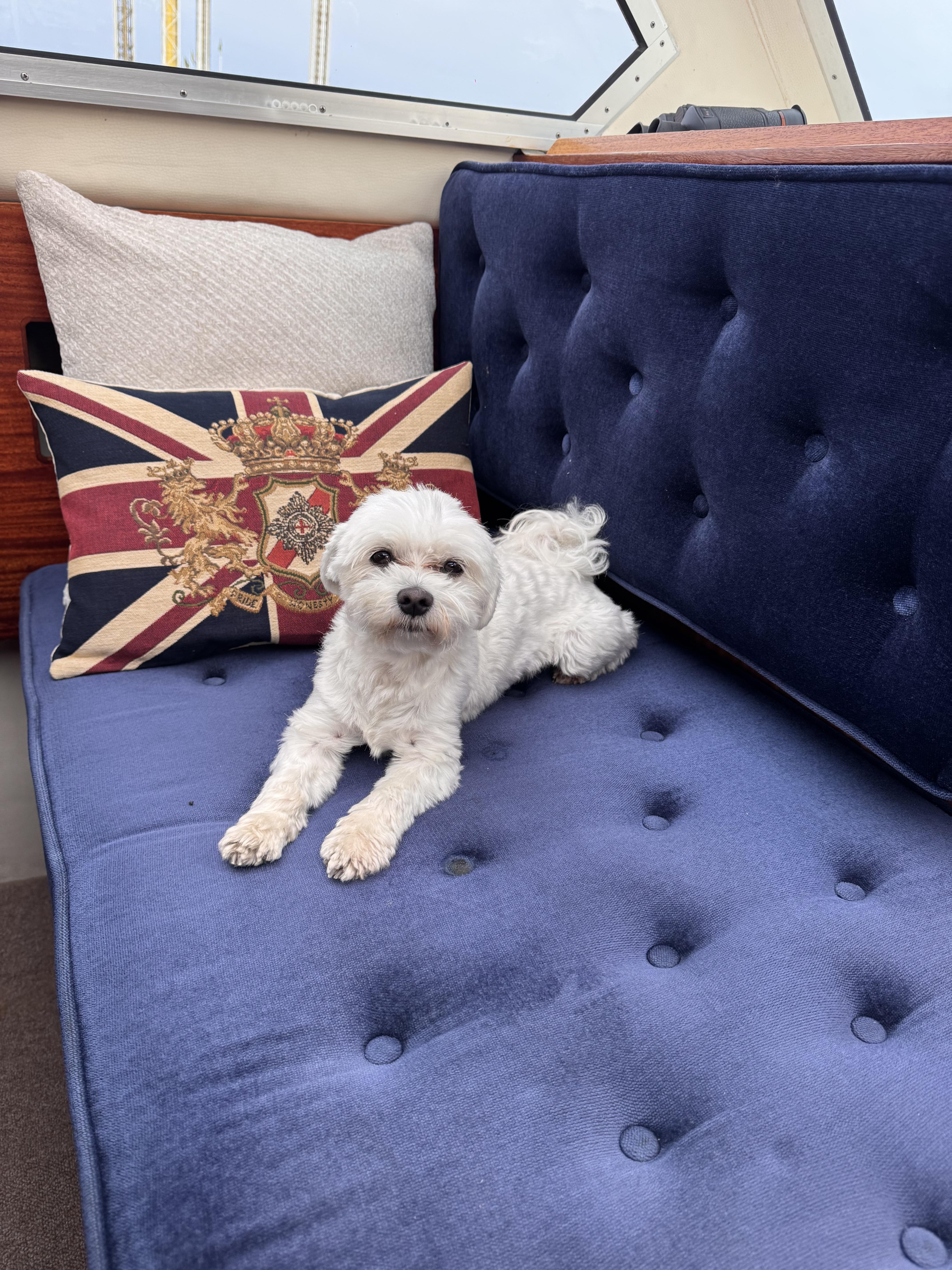 stockholm watertaxi Ellinore - 12 gäster